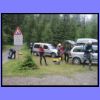090803_cormor_104238.jpg