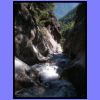 090805_piccola_cassenda_095009.jpg