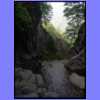 20050622_160657.jpg