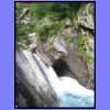 20050623_161639.jpg